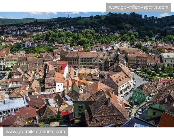 古老回响，现代交响：希腊与罗马尼亚，一场穿越时空的对话